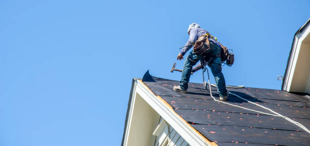 Best Shingle Roofing Installation  in Chigan Center, MI